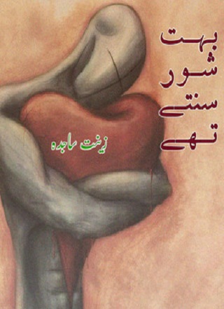 بہت شور سنتے تھے - زینت ساجدہ